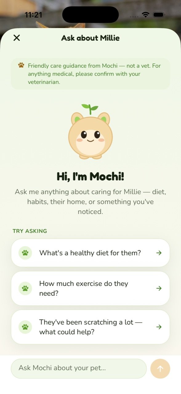 Ask Mochi chat screen with suggested care questions for a cat